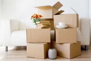 interstate movers norristown pa