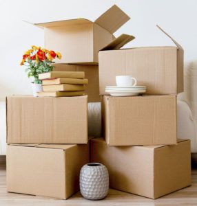 moving company newtown square