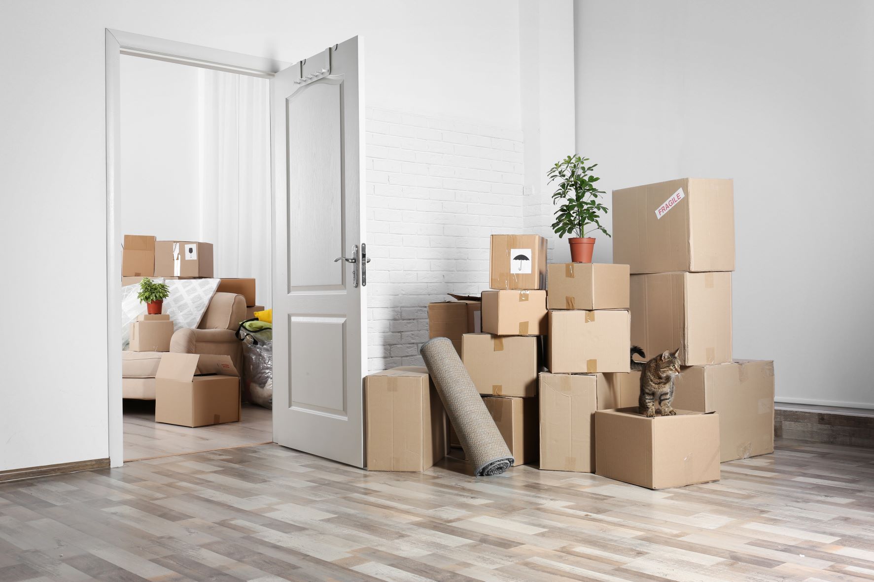 Top 5 Ways To Cut Costs While Moving