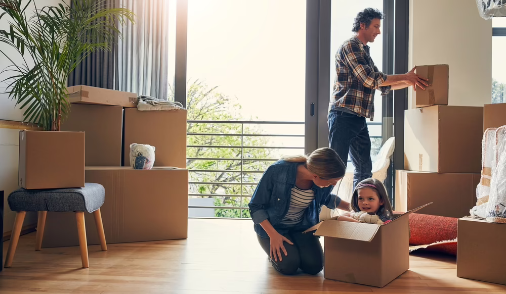 movers gainesville fl